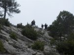 SDC11285.JPG