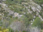 SDC11286.JPG