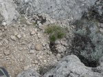 SDC11288.JPG