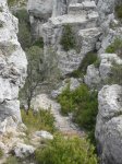 SDC11290.JPG
