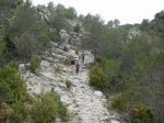 SDC11291.JPG