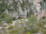 SDC11293.JPG