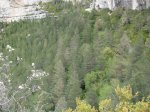 SDC11311.JPG