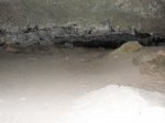 SDC11314.JPG