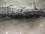 SDC11315.JPG