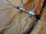 DSC04812.JPG