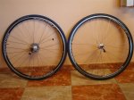 DSC04814.JPG