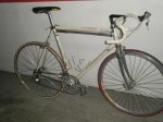 goi contini 1.JPG