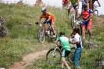 sancelemente_2011_00279.jpg