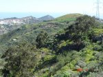 DSC01213.JPG