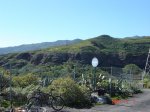 DSC01215.JPG