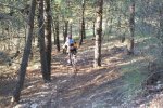 DSCF0046.JPG