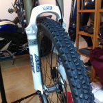 IMG_1215_cr.jpg