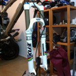 IMG_1217_cr.jpg
