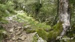 0114-caoru.jpg