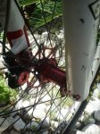2012-05-11 14.42.45.jpg