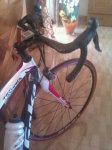 IMG-20120509-WA0002.jpg