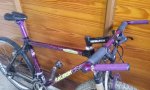 20120512_144828.jpg