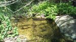 DSC00219_1024x576.jpg