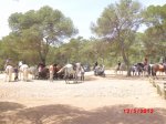 CIMG1438 (Copiar).jpg