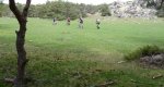 P1030377.jpg