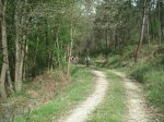 PICT0010 (Copiar).JPG