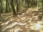 IMG_20120513_140102 (800x600).jpg
