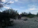 P120512_17.00_[01].jpg