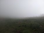 20120513_114125_1024x768.jpg