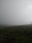 20120513_114131_768x1024.jpg