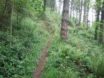 2012-05-13 12.34.53.jpg
