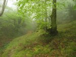 IMG_3427.JPG
