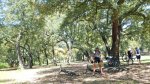 DSCN5002.jpg