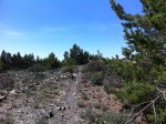 IMG_8040 (Copiar).JPG