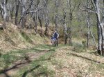 P5130016 (Copiar).JPG