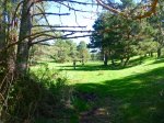 Foto9.JPG