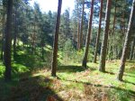 Foto14.JPG