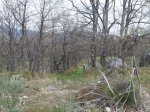 P5130031 (Copiar).JPG