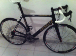 Scaled Image 1.gif