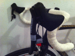 Scaled Image 2.gif
