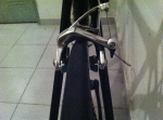 Scaled Image 3.gif