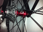 Scaled Image 13.gif