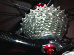 Scaled Image 14.gif