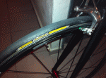 Scaled Image.gif