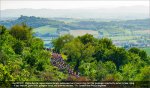 giro12st06jg-view.jpg
