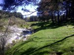 IMG-20120515-00475.JPG