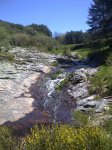 IMG-20120515-00478.JPG