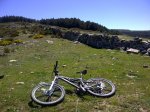 IMG-20120515-00482.JPG