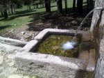 IMG-20120515-00488.JPG