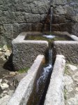 IMG-20120515-00489.JPG